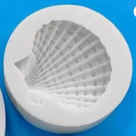 Seashell mould